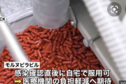 アメリカメルクのコロナ経口薬モルヌピラビル、日本の承認速やかに対処すると厚労省 モルヌピラビル
