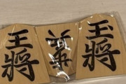 【画像】クソ高級な将棋の駒買ったったwwwwww