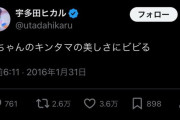 【画像】宇多田ヒカルさん、陰に掘り起こされ炎上