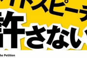 【韓国】水原希子が在日コリアンへのヘイトスピーチに関連する対策を求めた
