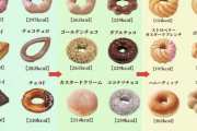 【画像】「ミスタードーナツ」で必ず買うドーナツｗｗｗｗｗｗｗｗ
