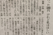 【悲報】　69歳おばあちゃん「ケーキ食べたいよぉ……だから5000円の給付金ちょうだい！」