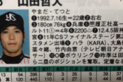 ヤクルト山田、ハラ（KARA）のファンだった