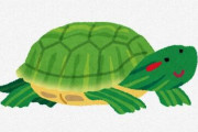 亀に食わせると面白い生き物