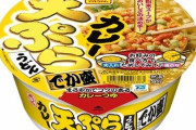 「赤いきつね」「緑のたぬき」シリーズに、ありそうでなかった「カレー天ぷらうどん」が新登場