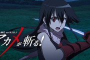アカメが斬るとかいうアニメ