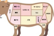 大食いタレント・もえのあずきさん(32)、自宅焼肉で食べた肉の量がこちら