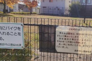 【糞過ぎ】「子供の声がうるさい」と意見し公園廃止にさせたのはたった1人の大学名誉教授だった、市の忖度かと話題