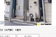 【画像あり】不動産会社「１億円あればこれだけの豪邸が建ちます」