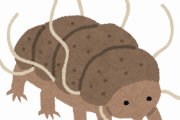 【悲報】最強生物“クマムシ”のメカニズム（弱点）を発見