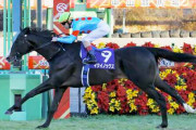 第67回 有馬記念（GI）イクイノックスが1着 天皇賞・秋に続きG1連勝