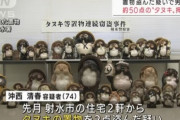 【画像】タヌキを盗みまくった男、逮捕
