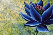 【画像】MTGの「ブラックロータス」とんでもない価格で落札されてしまうｗｗｗｗｗ