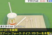 【悲報】 マックさん、ストローをプラスチック製から紙製に切り替え