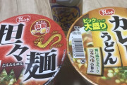 【画像】わいの晩御飯どっち食べようか悩み中