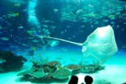 水族館（一日潰せます、２０００円です、静かでデートに最適です）←こいつが流行らない理由ｗ