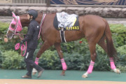 【競馬予想】[1]第41回東海ステークス(GⅡ) /2024