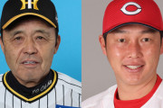 カープを阪神岡田監督が警戒！「マツスタは芝が長く打球死ぬ」