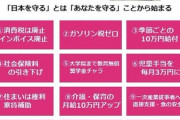 【公約？】れいわ新選組支持者「これ見ても山本太郎を支持できないわけ？」→いいね多数