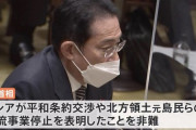 フランス紙「おい、あの日本がロシアと本気でやり合うみたいだぞ?」 日本どーすんの…