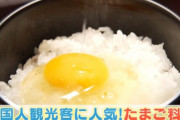 韓国人「外国人観光客が日本の卵料理に感動！」→外国人「我が国ではこんな卵を見る事はありません」　韓国の反応