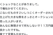 【画像】メルカリの転売ヤー、超えちゃいけないラインを超えるwwwwwwwww