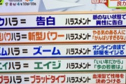 【令和】チ―牛「す、好きです、付き合ってくださいッ！」女「それ、コクハラですよ」チ―「え？」