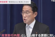 岸田首相って統一問題抜きにしてもあかんやろ？？？？