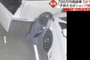【悲報】日本、パパ活や強盗に続き、車の窃盗も増えまくってる模様