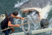 「ジョーズ」と「ディープブルー」以外で面白いサメの映画