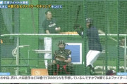 日ハム万波中正のフリーバッティングｗｗｗｗｗｗ