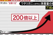 【闇】ワタリガニ、"2011年"を境に宮城県で獲れまくるようになるwwwwwwwwwwww
