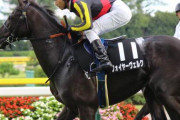 【オジュウチョウサンに刺客出現！】超良血馬フォイヤーヴェルク障害デビュー！