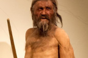 約5300年前のミイラ、エッツィ（アイスマン）は最後の日々をどう過ごしたのか？コケ類の分析で新事実が判明