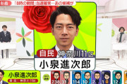【速報】 小泉進次郎氏　当選確実