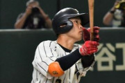 上武大・荒巻悠 .340(147-50) 8本 48打点 37三振 39四球 OPS1.122