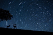 ふたご座流星群めっちゃ綺麗だぞ‼