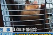 【動画】 「コウモリが手袋かんで破れた・・」 武漢研究所が削除した動画に注目集まる　コロナウイルス流出の責任者と関連
