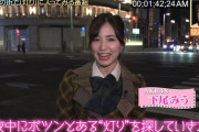 【キャプチャ】AKB48 テレビ東京 「世界！灯り発見」