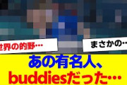 【櫻坂46】あの有名人、buddiesだった…【#そこ曲がったら櫻坂 #自業自得  #三期生 #ミーグリ #オタの反応集 】