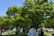 公園でテント張ってみた結果