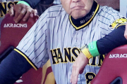 【謎】野球監督の役割ＷＷＷＷＷＷＷＷＷＷＷＷＷＷＷＷＷＷＷＷＷＷＷＷＷＷＷＷ