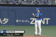 平良拳太郎  11試合 65.0回 奪三振49 与四球14 防御率2.35 WHIP1.12