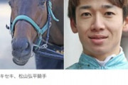 ● ヴェラアズール鞍上松山騎手
