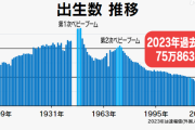 【悲報】日本政府「出生数68万人、ごめんこのままだと日本滅びるけどどうする？」