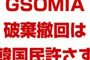 韓国政府「GSOMIA破棄の撤回は韓国民が許さない」　分かったから早く破棄しろよ…