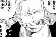 【ONEPIECE -ワンピース】スモーカー大佐「おい君、上層部のクソジジイ共に伝えてくれるか？？？」