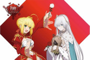【FGO】アナスタシア何が強いん？バフ配る面でも術ネロに負けてない？