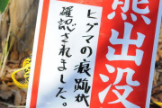 【悲報】ヒグマ「なぜ殺した」、苦情400件以上殺到