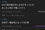 【悲報】5ch民「最近のオタクは余裕がなくてキモい」→オタクブチギレｗｗｗｗ
